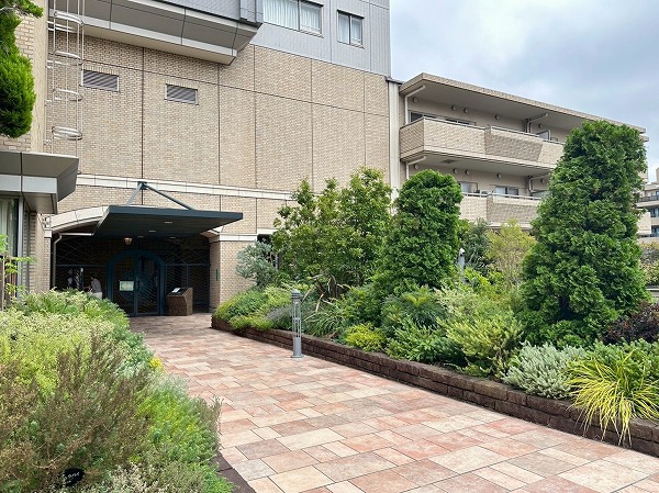 代官山アドレスザ・タワー アプローチ