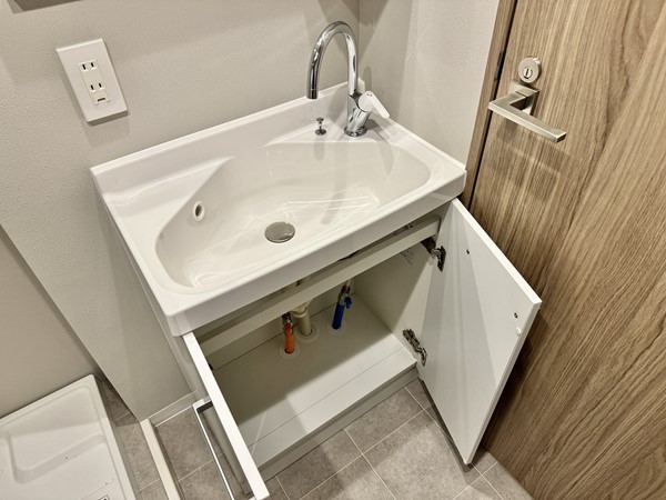 ライオンズマンション大森_洗面収納の写真