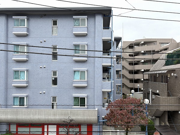 シャロン・ド・成城_洋室バルコニーの眺望の写真