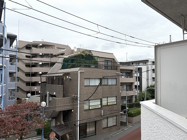 シャロン・ド・成城_洋室バルコニーの眺望の写真3