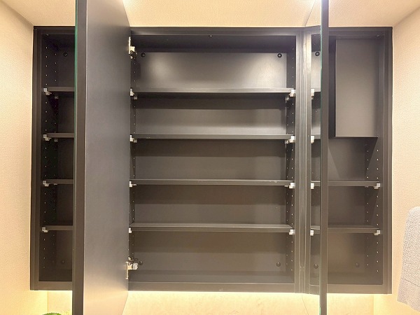 テラス渋谷美竹_たくさんしまえそうなミラーキャビネットの写真