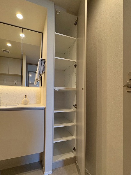 テラス渋谷美竹_洗面化粧台横の収納の写真