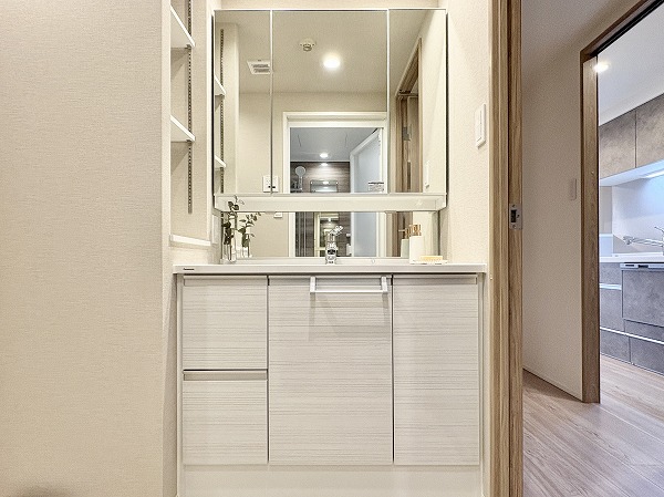 クレッセント千歳船橋 in TASTE_洗面化粧台の写真 独立洗面化粧台は合わせ鏡としてもご利用いただけるミラーキャビネット式。サイドや後頭部まで確認できるので、身支度をスムーズに行えますよ✦鏡裏と洗面台下に収納が設けられているので、歯ブラシなどの小物や洗剤などのかさばるものまでストックが可能です。