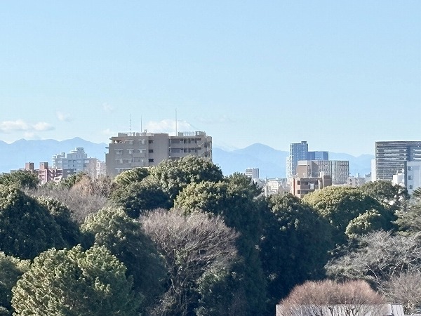 アールヴェール文京大塚公園_富士山の写真