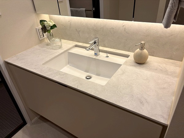 テラス渋谷美竹_使いやすそうな洗面化粧台の写真