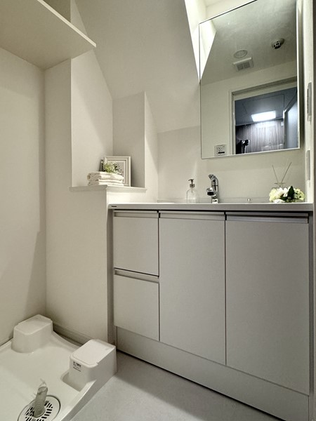 ディナ・スカーラ品川戸越_洗面化粧台の写真