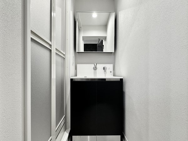 南麻布ローヤルコーポ_洗面化粧台の写真