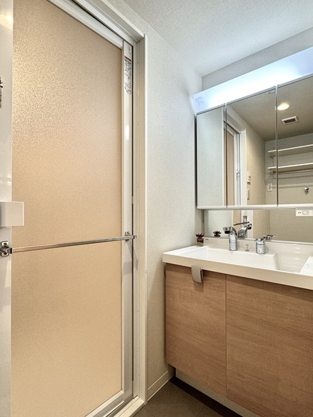 メイツ大森西_洗面室の写真