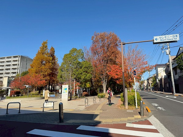 めぐろ区民キャンパス公園