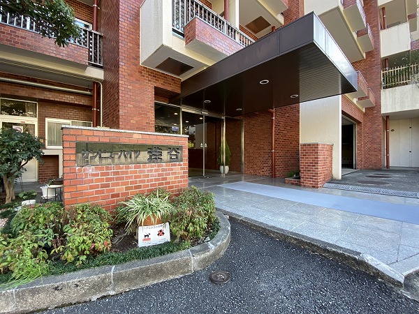 サンビューハイツ渋谷 アプローチ