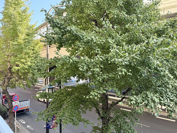 アルム幡ヶ谷_バルコニーからの眺望の写真2 