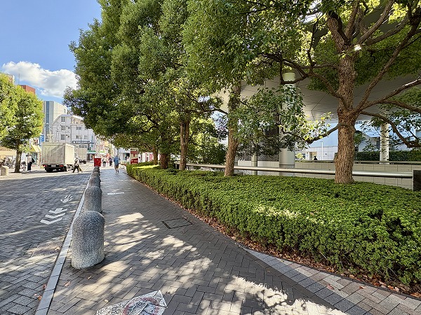 用賀駅　北口周辺の並木道