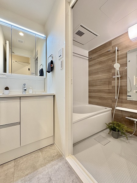 ライオンズプラザ池尻大橋_パウダールームの写真 