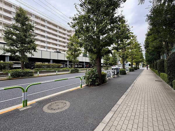 クラッシィハウス世田谷公園　エントランス前のイチョウ並木