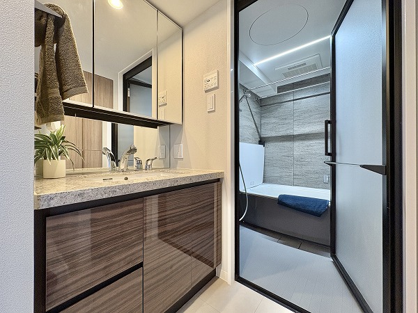 プレシス三軒茶屋_サニタリールームの写真