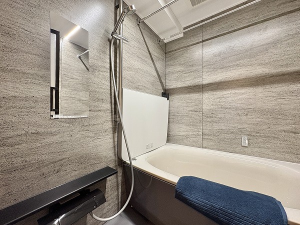 プレシス三軒茶屋_バスルームの写真