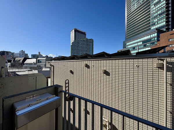 ザ・ランド代官山青葉台_バルコニーからの眺望の写真