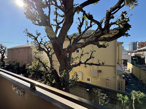 ライオンズマンション上野毛第2_眺望の写真