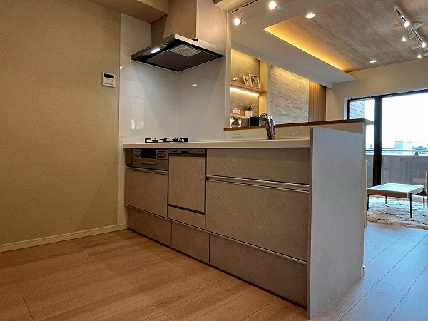 モナーク碑文谷_セミオープンキッチンの写真