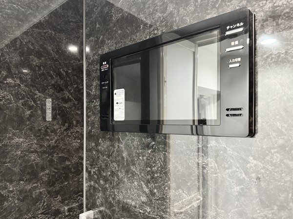 南麻布ローヤルコーポ_シャワールームモニターの写真