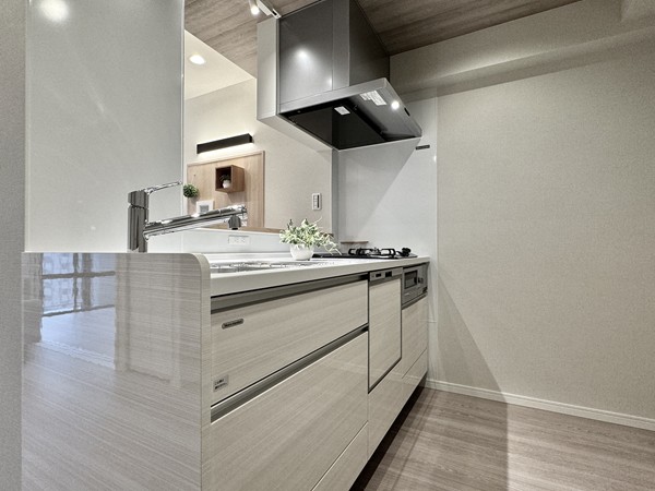 メイツ大森西_キッチンの写真