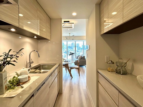 クラッシィタワー新宿御苑_リノベーション済みのキッチンの写真