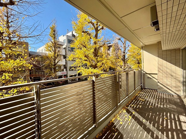 ヒルズ目白台_南西向きのバルコニーの写真 南西向きのバルコニーは11.92㎡と幅が広く、チェアやテーブルなどを置いてのんびりお過ごしいただけますよ。2階のお部屋ではありますが、周囲に高い建物が少ない上に、バルコニーのパネルやイチョウの木が目隠しをしてくれるためプライバシーが守られます。