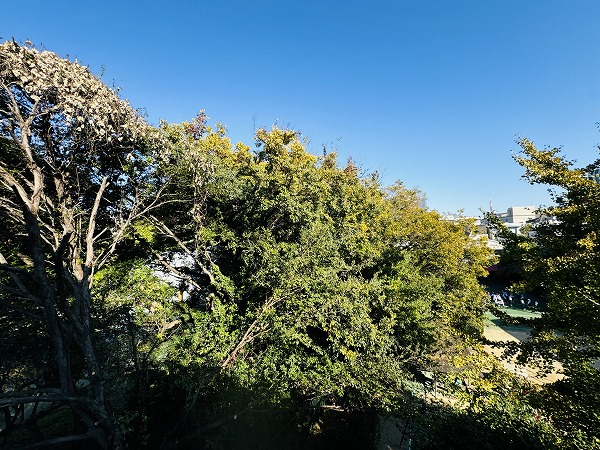 パークレ・ジェイド白金レジデンス_眺望の写真