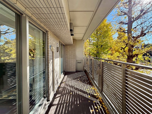 ヒルズ目白台_日当たり良好なバルコニーの写真 