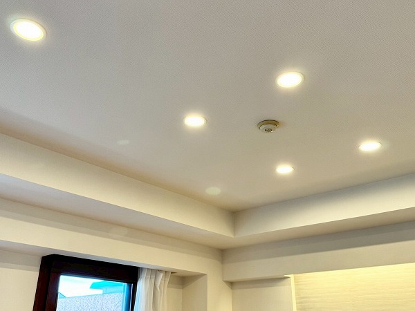 プラウド成城_照明の写真 