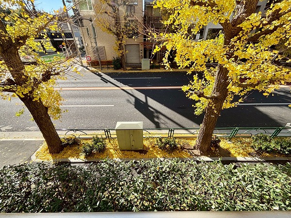 ヒルズ目白台_下を見た時の眺望の写真 