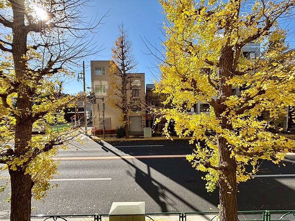 ヒルズ目白台_バルコニーからの眺望の写真 