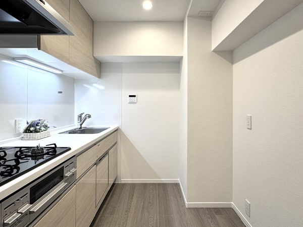 グリーンビレッジ大森_システムキッチンの写真