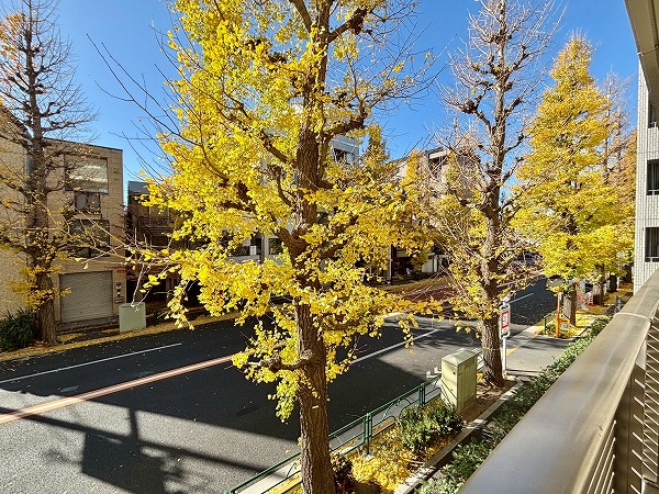 ヒルズ目白台_西側の眺望の写真 