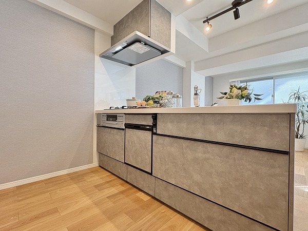 リーベスト上池台_リノベーション済みのキッチンの写真