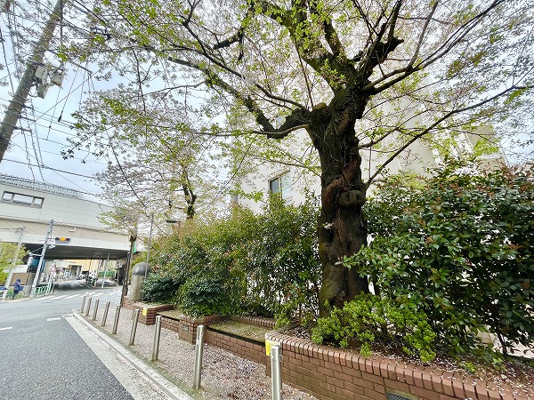 ベルス経堂弐番館までの道のり