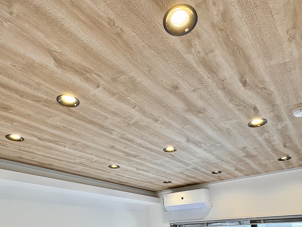 グリーンキャピタル上野毛_木目天井とダウンライトの写真