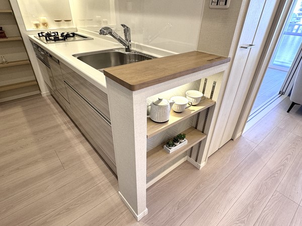 大森パークハイツ_オープン収納の写真 