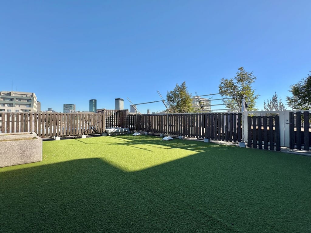 フューズ・コート175